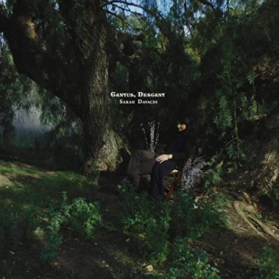 Afbeelding van Sarah Davachi Cantus Descant