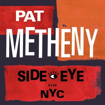 Afbeelding van Pat Metheny Side