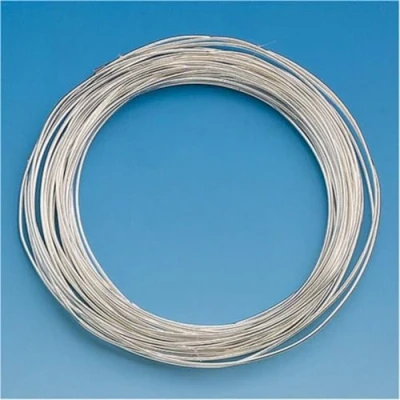 Afbeelding van Knorr Prandell 6461107 draad, 1,0 mm diameter, 4 m/ro, zilverkleurig