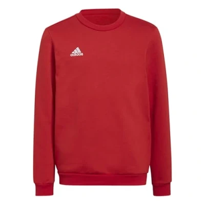 Afbeelding van adidas Performance Entrada Sweater voor kinderen, Maat: 140, Team power red