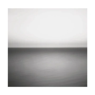 Afbeelding van U2 No Line On the Horizon (2 LPs)