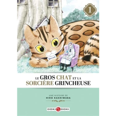 Image de Le Gros Chat et la Sorcière grincheuse vol. 01