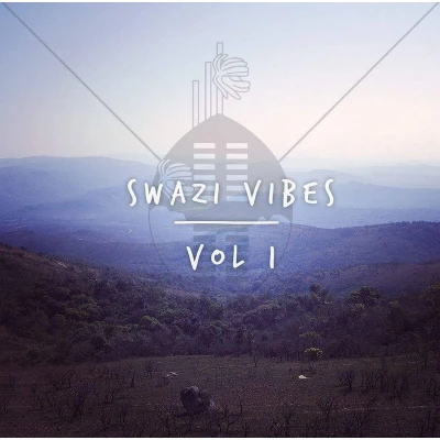 Afbeelding van Various Artists Swazi Vibes Vol. 1 (CD)