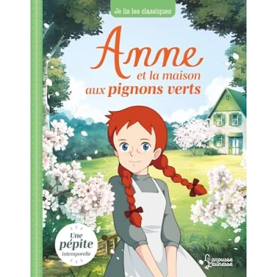 Afbeelding van ISBN 9782377359585 boek Frans 500 pagina&#039;s