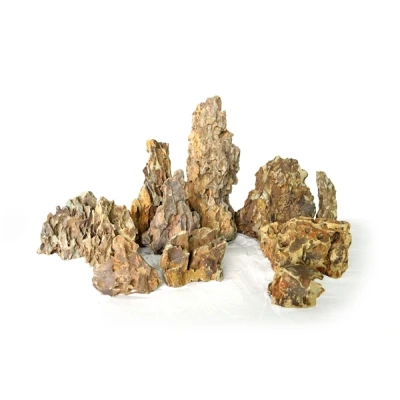 Afbeelding van Wabi Kusa Dragon Rock