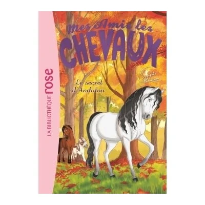 Image de Mes amis les chevaux 19 Le secret d&#039;Andalou