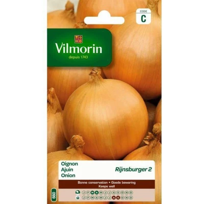 Afbeelding van Ajuin Rijnsburger