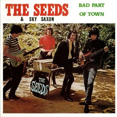 Afbeelding van The Seeds &amp; Sky Saxon Bad Part Of Town (LP)