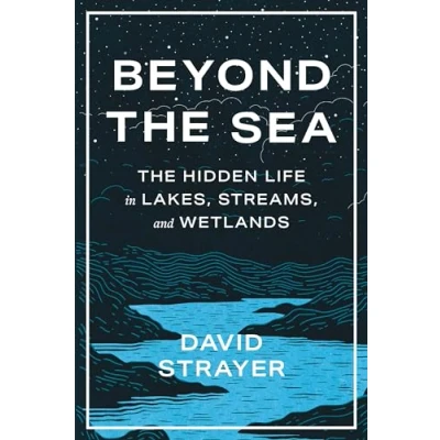 Afbeelding van Beyond the Sea