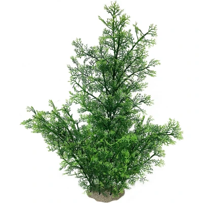 Afbeelding van Aqua Della Aquariumplant Phoenix Groen 56cm