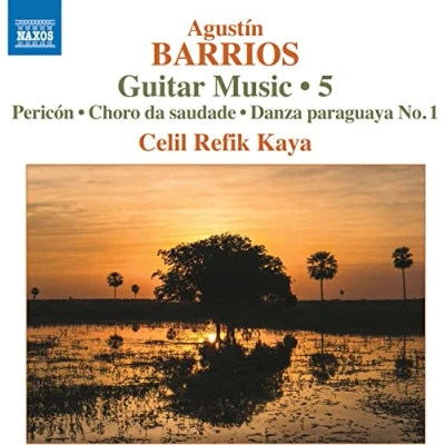 Afbeelding van Refik Kaya Guitar Music 5: Various (CD)