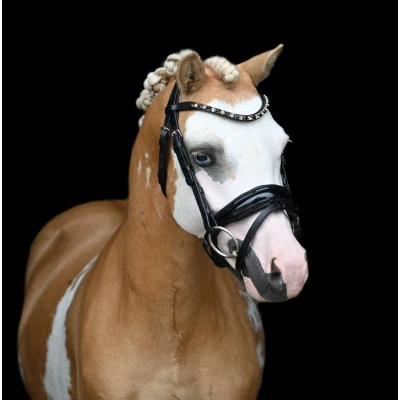 Image de HB Showtime Bride Special Noir/Or A Poney