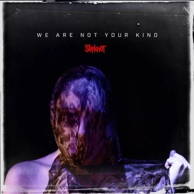 Image de We Are Not Your Kind Double Vinyle