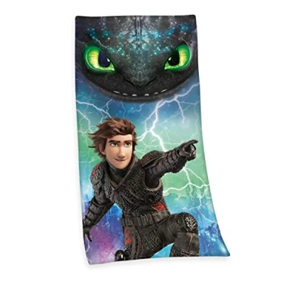 Afbeelding van Dragons: Riders of Berk Strandlaken 75x150 cm Multi kleur