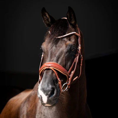 Image de HB Showtime Bridle Ulani