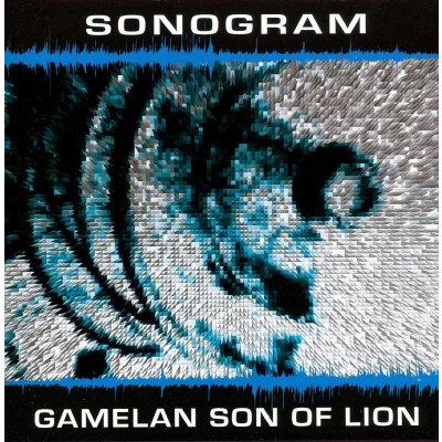 Afbeelding van Sonogram