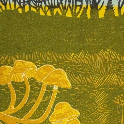 Afbeelding van Rural Tapes (LP)