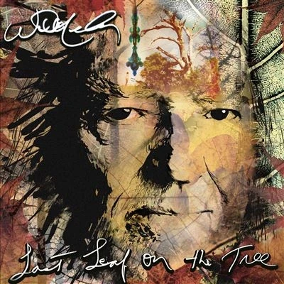 Image de Legacy Recordings Last Leaf On The Tree