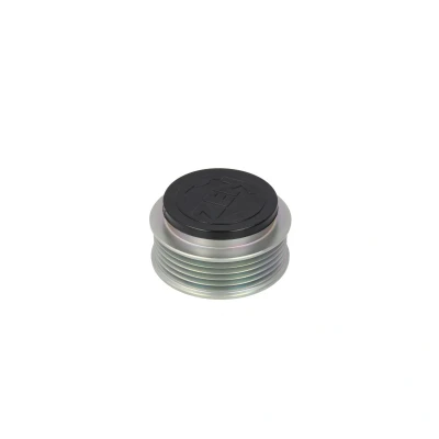 Afbeelding van MAGNETI MARELLI 940113010120 Riemschijf, dynamo
