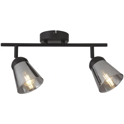 Afbeelding van Plafondspot Classy 2 lamps