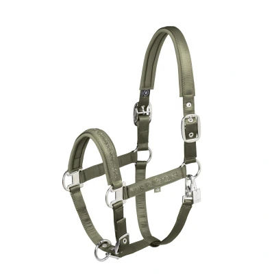 Image de Eskadron Licol Classic Sports Mattgloss Jewel Double Pin Dusty OliveVendu par Agradi