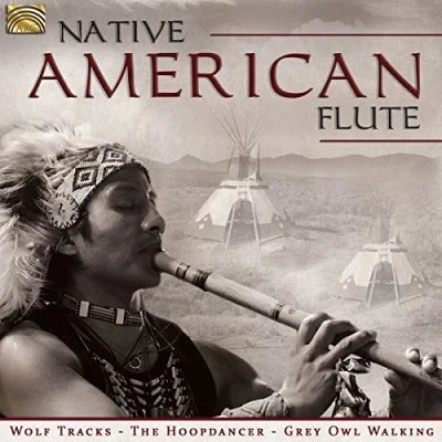 Afbeelding van Various Artists Native American Flute (CD)