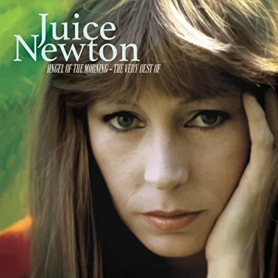 Afbeelding van Juice Newton Angel of the Morning Very Best (LP)