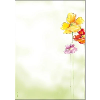 Image de sigel Papier à motif, A4, 90 g/m2, motif &#039;Spring Flowers&#039;