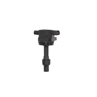 Afbeelding van DELPHI GN10422 12B1 Bobine 2 12 VOLVO: V40 Estate