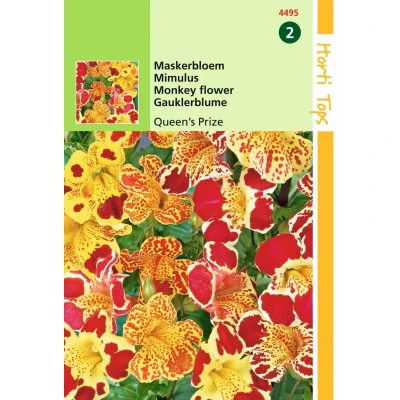 Afbeelding van Mimulus Cupr. Queen s Prize Hortitops