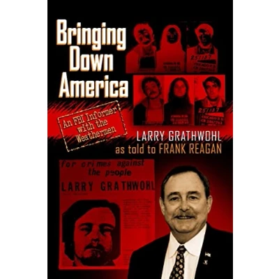 Afbeelding van Bringing Down America