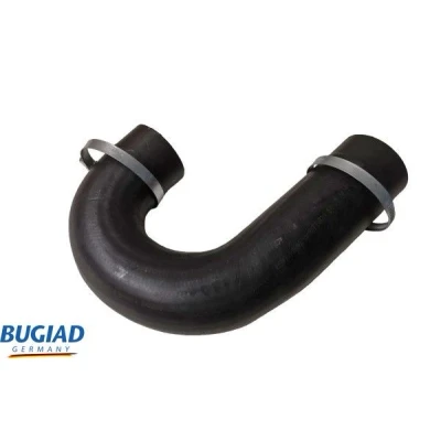 Afbeelding van BUGIAD 82463 Laadluchtslang Met bellen