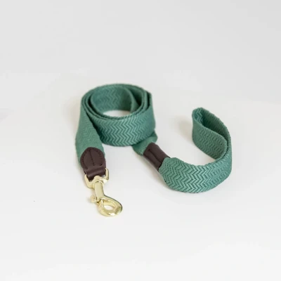 Image de Kentucky Laisse pour Chien Jacquard Olive Vert 140cm
