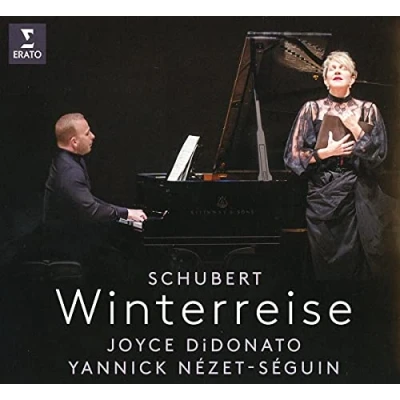 Afbeelding van Winterreise