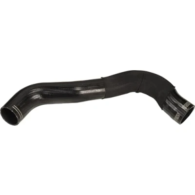 Afbeelding van GATES 09 0069 Laadluchtslang Polychloropren (Neopren) FIAT: Ducato III Van