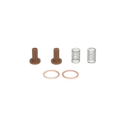 Afbeelding van Engitech Brandstofpomp reparatieset ENT200008