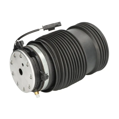 Afbeelding van Luchtvering, chassis MAGNUM TECHNOLOGY MZM022MT