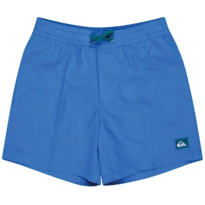 Afbeelding van Quiksilver Everyday Solid Volley Zwemshorts voor kinderen, Maat: 176, Nebulas blue