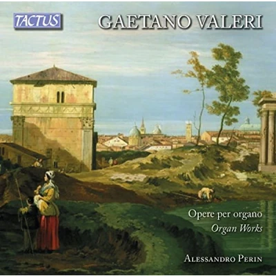 Afbeelding van Alessandro Perin &amp; Roberto Loreggian Valeri: Opere Per Organo (2 CD)