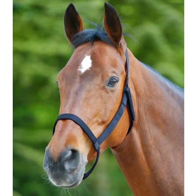 Afbeelding van Waldhausen Weidehalster blauw maat:pony