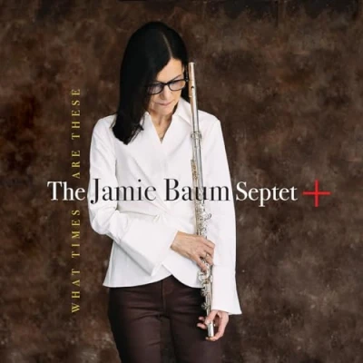 Afbeelding van Jamie Baum What Times Are These (CD)