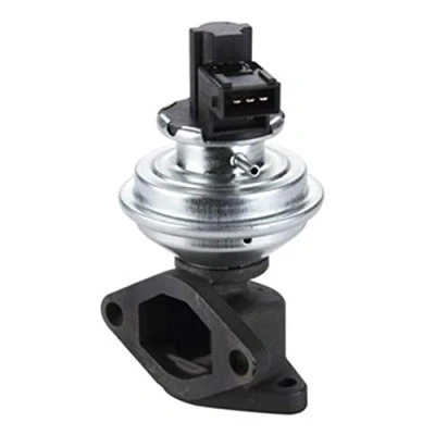 Afbeelding van MAGNETI MARELLI 571822112136 EGR klep LAND ROVER: Defender Off Road