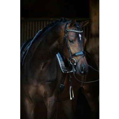 Image de HB Showtime Bride Armani Noir Cob