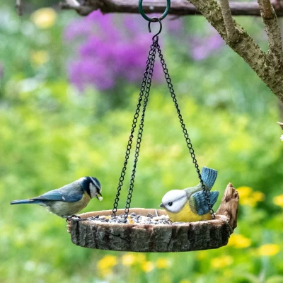 Afbeelding van Wildbird Pimpelmees Op Hangende Voederschaal Voerbak 19x9 cm
