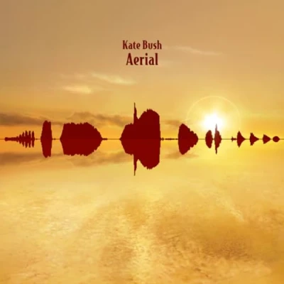 Afbeelding van Aerial