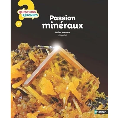 Afbeelding van Les mineraux