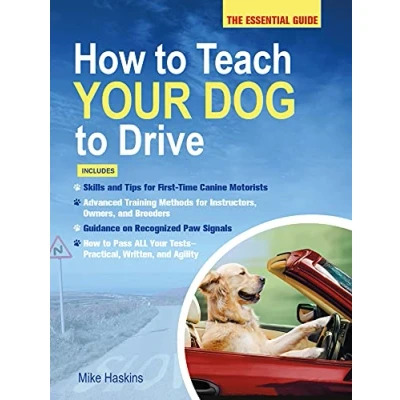 Afbeelding van How To Teach Your Dog Drive