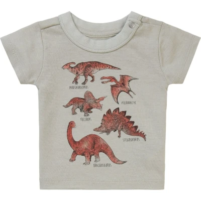 Afbeelding van Noppies Jongen T shirt Momence Willow Grey 80