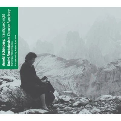 Afbeelding van Camerata Transsylvanica Transfigured Night / Chamber Symphony (CD)