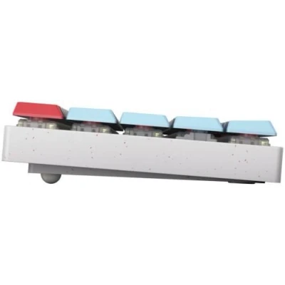 Image de CHERRY MX LP 2.1 Clavier compact backlit sans fil 2.4 GHz, Bluetooth 5.2, USB QWERTZ Allemand commutateur : Low Profile RGB Speed blanc